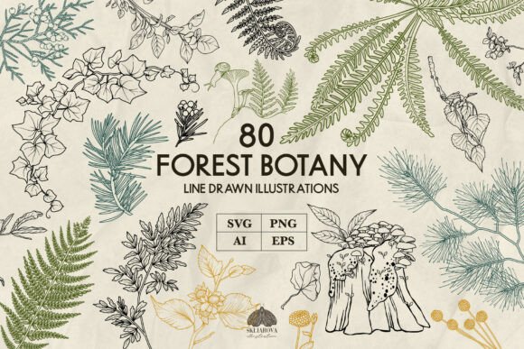 Download Forest Botany Line Art Svg - Svg Collection