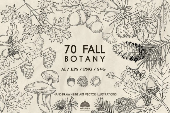 Download 70 Fall Botany Svg Png Eps - Svg Collection